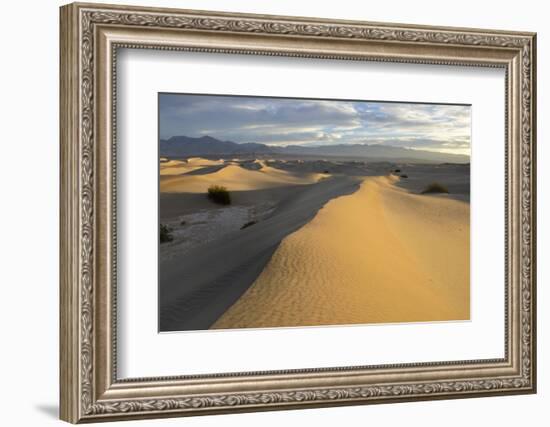 USA, California, Death Valley, Mesquite Flat Sand Dunes at sunrise.-Kevin Oke-Framed Photographic Print