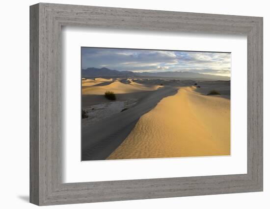 USA, California, Death Valley, Mesquite Flat Sand Dunes at sunrise.-Kevin Oke-Framed Photographic Print