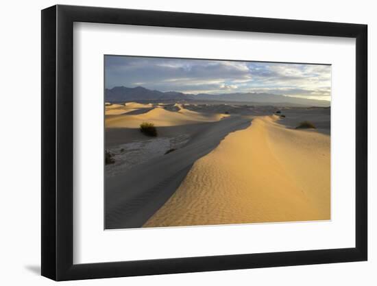 USA, California, Death Valley, Mesquite Flat Sand Dunes at sunrise.-Kevin Oke-Framed Photographic Print