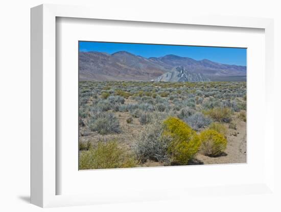 USA, California. Death Valley National Park, Butte Valley Road, Stripped Butte-Bernard Friel-Framed Photographic Print