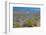 USA, California. Death Valley National Park, Butte Valley Road, Stripped Butte-Bernard Friel-Framed Photographic Print