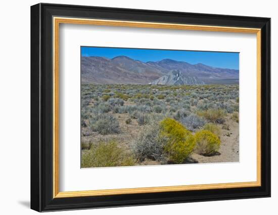 USA, California. Death Valley National Park, Butte Valley Road, Stripped Butte-Bernard Friel-Framed Photographic Print