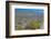 USA, California. Death Valley National Park, Butte Valley Road, Stripped Butte-Bernard Friel-Framed Photographic Print