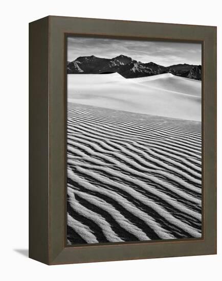 USA, California, Death Valley National Park, Early Morning Sun Hits Mesquite Flat Dunes-Ann Collins-Framed Premier Image Canvas