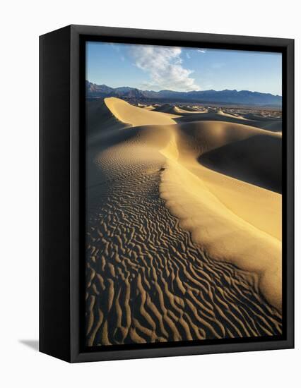 USA, California, Death Valley National Park. Early Morning Sun Hits Mesquite Flat Dunes-Ann Collins-Framed Premier Image Canvas