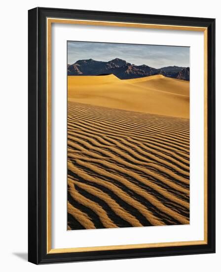 USA, California, Death Valley National Park, Early Morning Sun Hits Mesquite Flat Dunes-Ann Collins-Framed Photographic Print