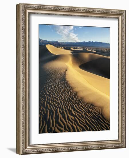 USA, California, Death Valley National Park. Early Morning Sun Hits Mesquite Flat Dunes-Ann Collins-Framed Photographic Print