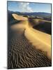 USA, California, Death Valley National Park. Early Morning Sun Hits Mesquite Flat Dunes-Ann Collins-Mounted Photographic Print