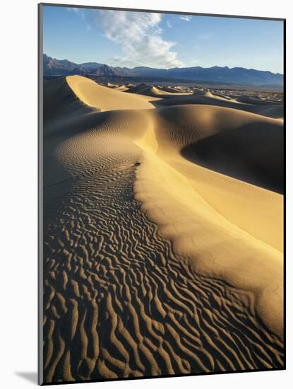 USA, California, Death Valley National Park. Early Morning Sun Hits Mesquite Flat Dunes-Ann Collins-Mounted Photographic Print