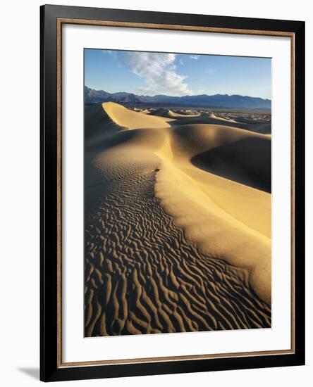 USA, California, Death Valley National Park. Early Morning Sun Hits Mesquite Flat Dunes-Ann Collins-Framed Photographic Print