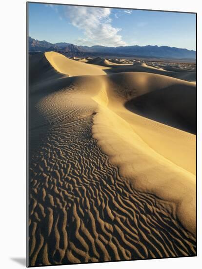 USA, California, Death Valley National Park. Early Morning Sun Hits Mesquite Flat Dunes-Ann Collins-Mounted Photographic Print