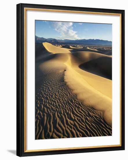 USA, California, Death Valley National Park. Early Morning Sun Hits Mesquite Flat Dunes-Ann Collins-Framed Photographic Print