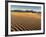 USA, California, Death Valley National Park. Early Morning Sun Hits Mesquite Flat Dunes-Ann Collins-Framed Photographic Print