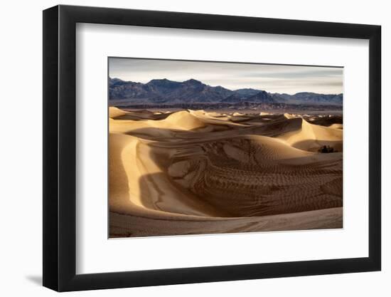 USA, California, Death Valley National Park, Mesquite Flat Dunes after Rain-Ann Collins-Framed Photographic Print