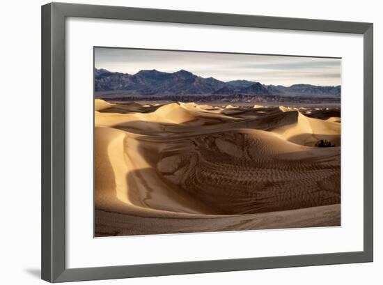 USA, California, Death Valley National Park, Mesquite Flat Dunes after Rain-Ann Collins-Framed Photographic Print