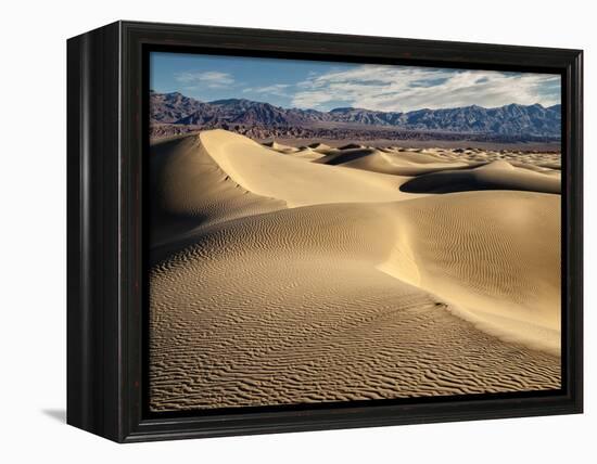 USA, California, Death Valley National Park, Morning Sun Hits Mesquite Flat Dunes-Ann Collins-Framed Premier Image Canvas