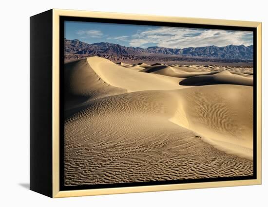 USA, California, Death Valley National Park, Morning Sun Hits Mesquite Flat Dunes-Ann Collins-Framed Premier Image Canvas