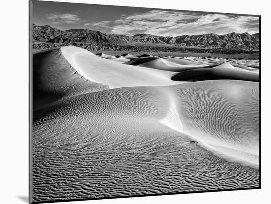 USA, California, Death Valley National Park, Morning Sun Hits Mesquite Flat Dunes-Ann Collins-Mounted Photographic Print