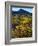 USA, California, Death Valley National Park. Wildflowers-Jaynes Gallery-Framed Photographic Print