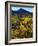 USA, California, Death Valley National Park. Wildflowers-Jaynes Gallery-Framed Photographic Print