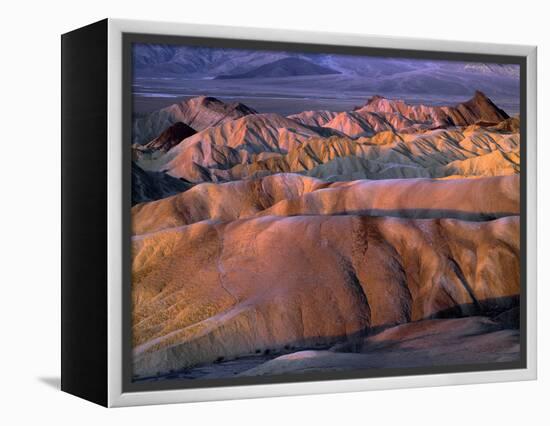 USA, California, Death Valley National Park-John Barger-Framed Premier Image Canvas