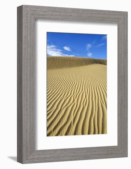 USA, California, Death Valley, Ripples in the sand, Mesquite Flat Sand Dunes.-Kevin Oke-Framed Photographic Print