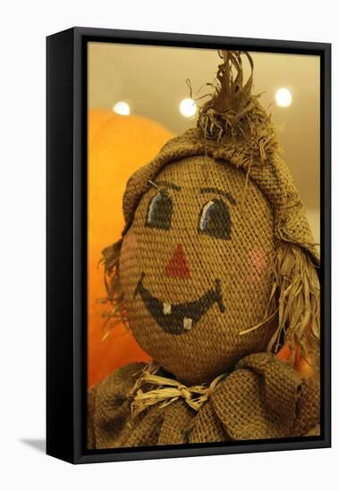 USA, California, Del Mar. A scarecrow at a Pumpkin Patch festival.-Kymri Wilt-Framed Premier Image Canvas