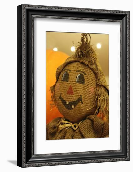 USA, California, Del Mar. A scarecrow at a Pumpkin Patch festival.-Kymri Wilt-Framed Photographic Print