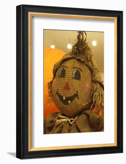 USA, California, Del Mar. A scarecrow at a Pumpkin Patch festival.-Kymri Wilt-Framed Photographic Print