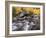 USA, California, Eastern Sierra. Aspens Along North Fork of Bishop Creek-Ann Collins-Framed Photographic Print