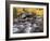 USA, California, Eastern Sierra. Aspens Along North Fork of Bishop Creek-Ann Collins-Framed Photographic Print