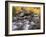 USA, California, Eastern Sierra. Aspens Along North Fork of Bishop Creek-Ann Collins-Framed Photographic Print