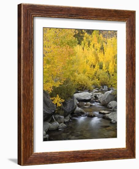 USA, California, Eastern Sierra. Bishop Creek During Autumn-Ann Collins-Framed Photographic Print