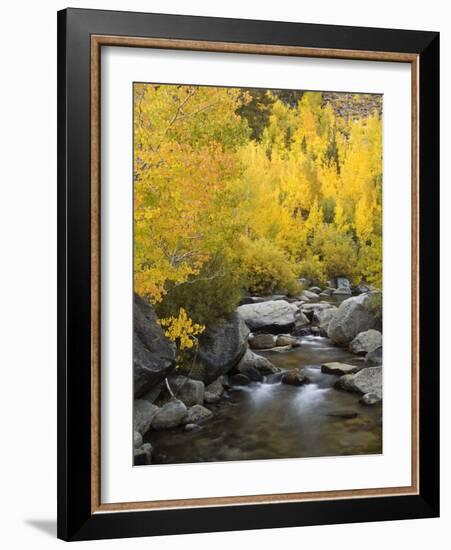 USA, California, Eastern Sierra. Bishop Creek During Autumn-Ann Collins-Framed Photographic Print