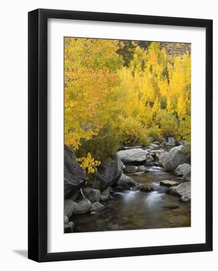 USA, California, Eastern Sierra. Bishop Creek During Autumn-Ann Collins-Framed Photographic Print