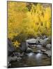 USA, California, Eastern Sierra. Bishop Creek During Autumn-Ann Collins-Mounted Photographic Print