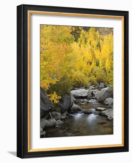 USA, California, Eastern Sierra. Bishop Creek During Autumn-Ann Collins-Framed Photographic Print