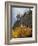 USA, California, Eastern Sierra, Devils Postpile National Monument in Autumn-Ann Collins-Framed Photographic Print