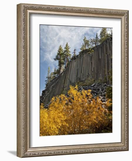 USA, California, Eastern Sierra, Devils Postpile National Monument in Autumn-Ann Collins-Framed Photographic Print