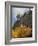 USA, California, Eastern Sierra, Devils Postpile National Monument in Autumn-Ann Collins-Framed Photographic Print