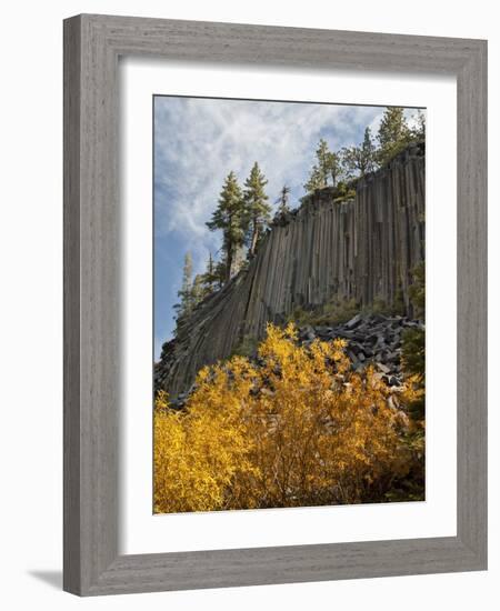 USA, California, Eastern Sierra, Devils Postpile National Monument in Autumn-Ann Collins-Framed Photographic Print