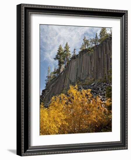 USA, California, Eastern Sierra, Devils Postpile National Monument in Autumn-Ann Collins-Framed Photographic Print