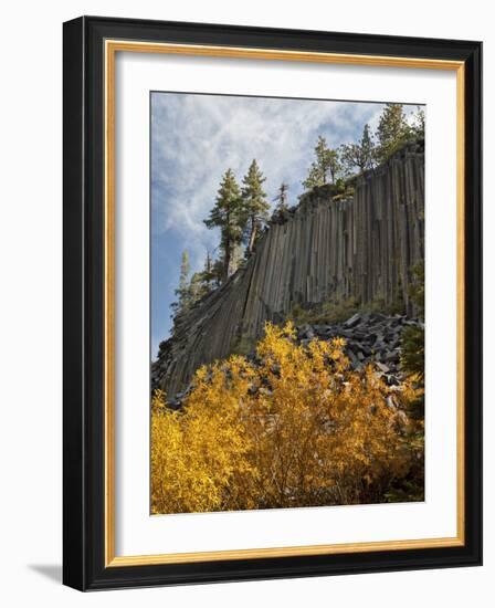 USA, California, Eastern Sierra, Devils Postpile National Monument in Autumn-Ann Collins-Framed Photographic Print