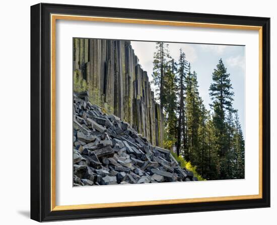 USA, California, Eastern Sierra. Devils Postpile National Monument in Autumn-Ann Collins-Framed Photographic Print