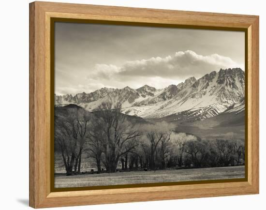 USA, California, Eastern Sierra Nevada Area, Bishop, Landscape of the Pleasant Valey-Walter Bibikow-Framed Premier Image Canvas