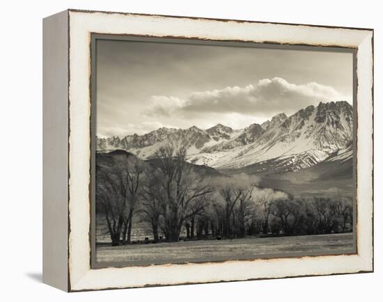USA, California, Eastern Sierra Nevada Area, Bishop, Landscape of the Pleasant Valey-Walter Bibikow-Framed Premier Image Canvas