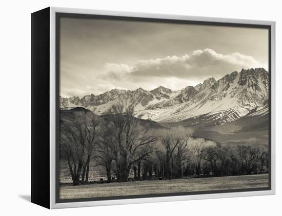 USA, California, Eastern Sierra Nevada Area, Bishop, Landscape of the Pleasant Valey-Walter Bibikow-Framed Premier Image Canvas