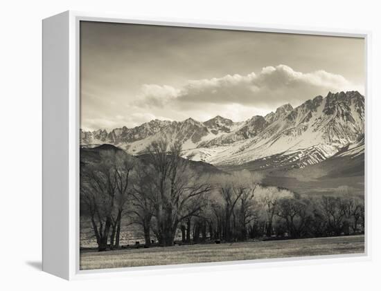 USA, California, Eastern Sierra Nevada Area, Bishop, Landscape of the Pleasant Valey-Walter Bibikow-Framed Premier Image Canvas