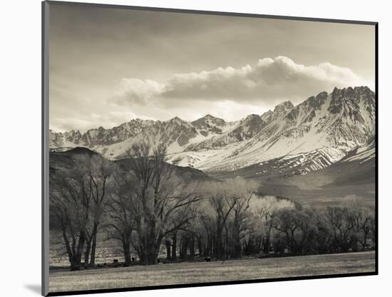 USA, California, Eastern Sierra Nevada Area, Bishop, Landscape of the Pleasant Valey-Walter Bibikow-Mounted Photographic Print