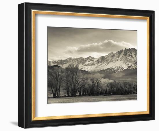 USA, California, Eastern Sierra Nevada Area, Bishop, Landscape of the Pleasant Valey-Walter Bibikow-Framed Photographic Print